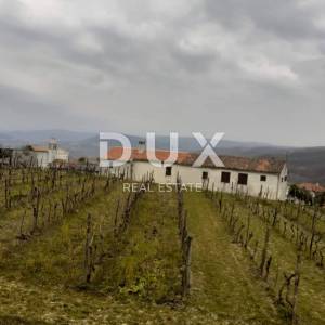 ISTRA, VIŽINADA - Prostrano građevinsko zemljište panoramskog pogleda