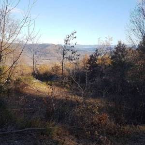 ISTRA, VIŽINADA - Prostrano građevinsko zemljište na osami s panoramskim pogledom