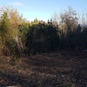 ISTRA, VIŽINADA - Prostrano građevinsko zemljište na osami s panoramskim pogledom
