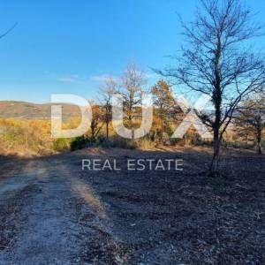 ISTRA, VIŽINADA - Prostrano građevinsko zemljište na osami s panoramskim pogledom