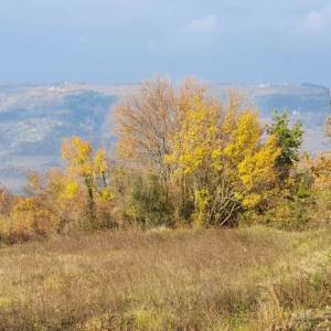 ISTRA, VIŽINADA - Prostrano građevinsko zemljište na osami s panoramskim pogledom