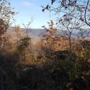 ISTRA, VIŽINADA - Prostrano građevinsko zemljište na osami s panoramskim pogledom
