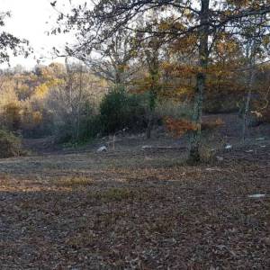 ISTRA, VIŽINADA - Prostrano građevinsko zemljište na osami s panoramskim pogledom