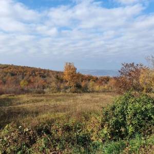ISTRA, VIŽINADA - Prostrano građevinsko zemljište na osami s panoramskim pogledom