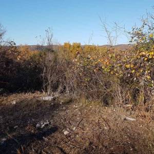 ISTRA, VIŽINADA - Prostrano građevinsko zemljište na osami s panoramskim pogledom