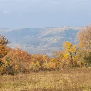 ISTRA, VIŽINADA - Prostrano građevinsko zemljište na osami s panoramskim pogledom