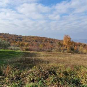 ISTRA, VIŽINADA - Prostrano građevinsko zemljište na osami s panoramskim pogledom