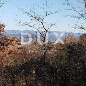 ISTRA, VIŽINADA - Prostrano građevinsko zemljište na osami s panoramskim pogledom