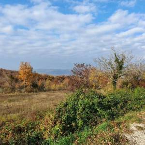 ISTRA, VIŽINADA - Prostrano građevinsko zemljište na osami s panoramskim pogledom