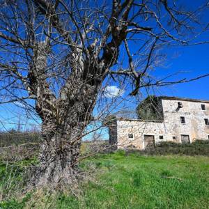 ISTRA, VIŽINADA Tražite istarsku stanciju? STOP!