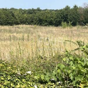 Istra, Vodnjan - okolica, građevinsko zemljište s projektom kuće s bazenom