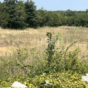 Istra, Vodnjan - okolica, građevinsko zemljište s projektom kuće s bazenom