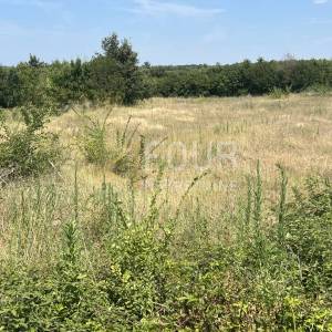 Istra, Vodnjan - okolica, građevinsko zemljište s projektom kuće s bazenom