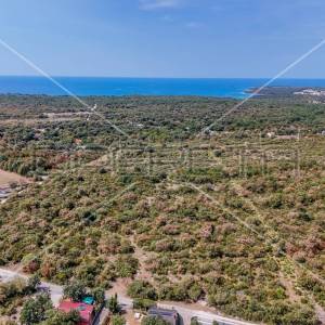 Istra, Vodnjan - okolica, poljoprivredno zemljište 21486 m2