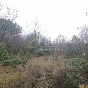 Istra, Vodnjan - okolica, poljoprivredno zemljište, 5.759m2