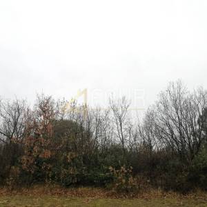 Istra, Vodnjan - okolica, poljoprivredno zemljište, 5.759m2