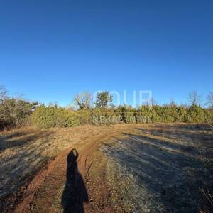 Istra, Vodnjan, poljoprivredno zemljište, 4.263m2