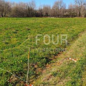 Istra, Vodnjan, poljoprivredno zemljište 4.385m2