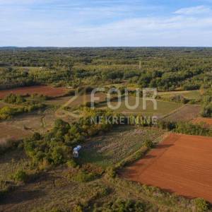 Istra, Vodnjan, poljoprivredno zemljište 4.385m2