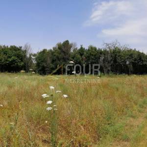 Istra, Vodnjan, poljoprivredno zemljište 4.385m2