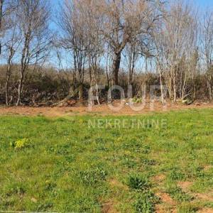 Istra, Vodnjan, poljoprivredno zemljište 478m2