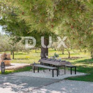 ISTRA, VODNJAN - Predivna luksuzna vila s maslinikom