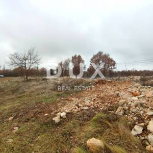 ISTRA, VODNJAN - Veće građevinsko zemljište s projektima
