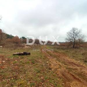 ISTRA, VODNJAN - Veće građevinsko zemljište s projektima