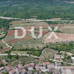 ISTRA, VRSAR - Kompleksi poljoprivrednih zemljišta 