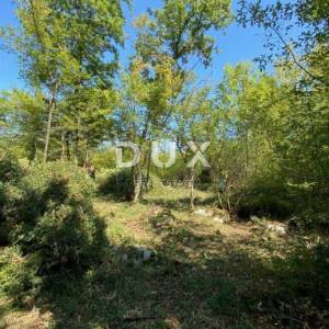 ISTRA, ŽBANDAJ - poljoprivredno zemljište 