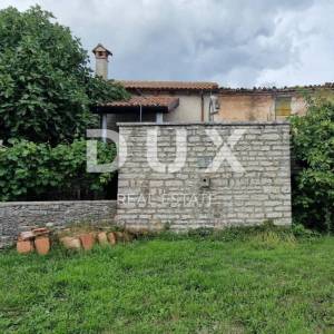 ISTRA, ŽMINJ - Dvojna kuća s pomoćnim objektom u mirnom selu