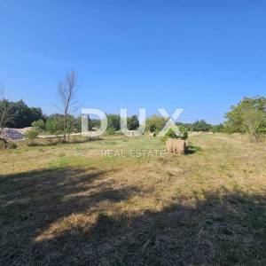 ISTRA, ŽMINJ - Građevinska parcela na mirnoj lokaciji! PRILIKA!