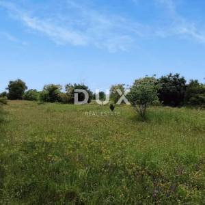 ISTRA, ŽMINJ – Građevinsko-poljoprivredna oaza u prirodi