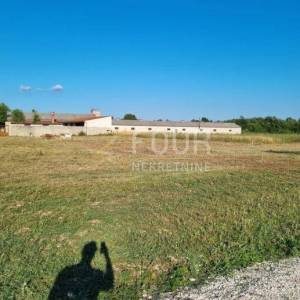 Istra, Žminj, građevinsko zemljište 701m2
