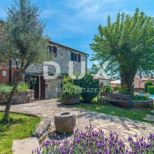 ISTRA, ŽMINJ - Kamena vila u čarobnom središtu Istre