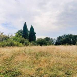 ISTRA, ŽMINJ - Kuća na osami na prostranoj okućnici