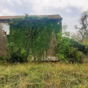 ISTRA, ŽMINJ - Kuća na osami na prostranoj okućnici