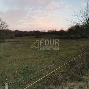 Istra, Žminj - okolica, poljoprivredno zemljište, 9.535m2
