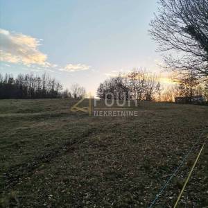 Istra, Žminj - okolica, poljoprivredno zemljište, 9.535m2