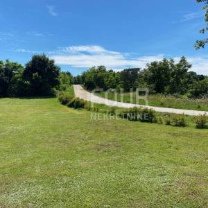 Istra, Žminj - okolica, poljoprivredno zemljište, 11.434m2