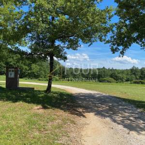 Istra, Žminj - okolica, poljoprivredno zemljište, 11.434m2