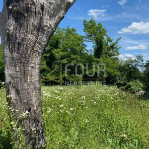 Istra, Žminj - okolica, poljoprivredno zemljište, 13.513m2