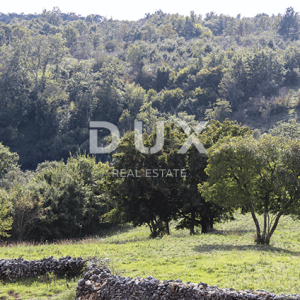 ISTRA, ŽMINJ - Vila s bazenom u srcu Istre, 398 m2
