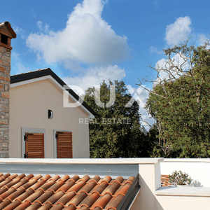ISTRA, ŽMINJ - Vila s bazenom u srcu Istre, 398 m2