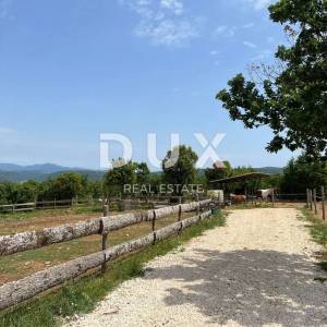 ISTRA,BARBAN-Predivno zemljište sportske namjene u blizini mora