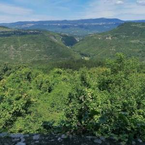 ISTRA,BUZET(OKOLICA)-Simpatična kamena kuća s predivnim pogledom