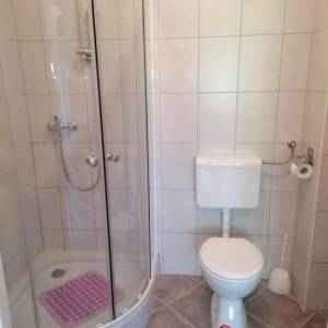 ISTRA,BUZET(OKOLICA)-Simpatična kamena kuća s predivnim pogledom