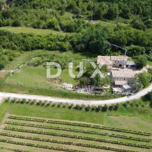 ISTRA,CEROVLJE - Istarska stancija s dvije kamene kuće i prostranom okućnicom – raj za ljubitelje prirode!