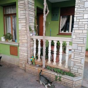 ISTRA,FAŽANA- Obiteljska kuća 150m od mora!