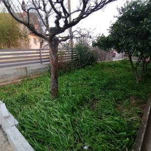 ISTRA,FAŽANA- Obiteljska kuća 150m od mora!